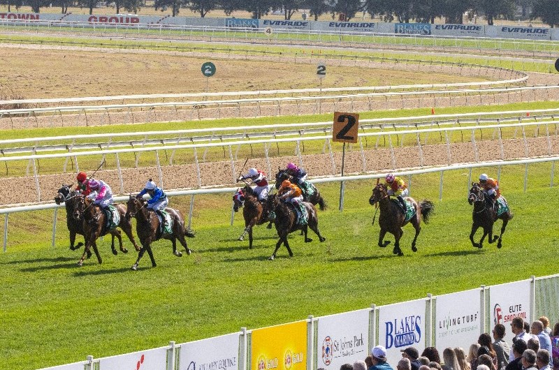 Hawkesbury Tips for 31.08.2021