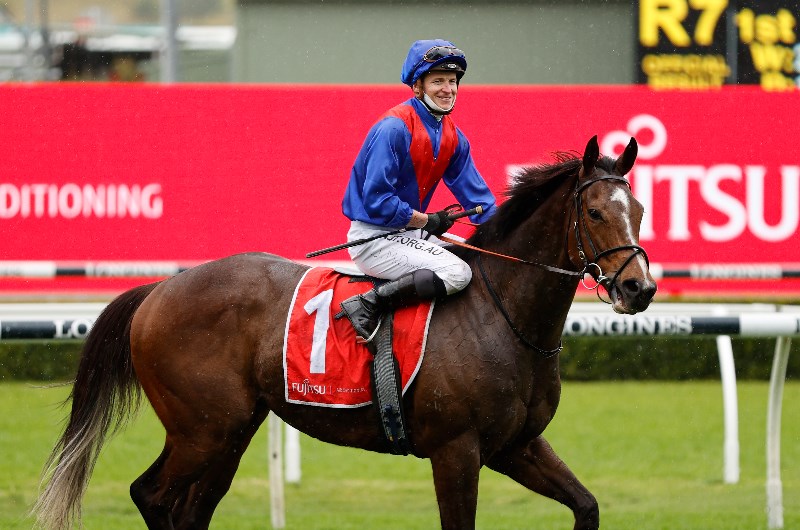 Underwood Stakes Field & Barriers