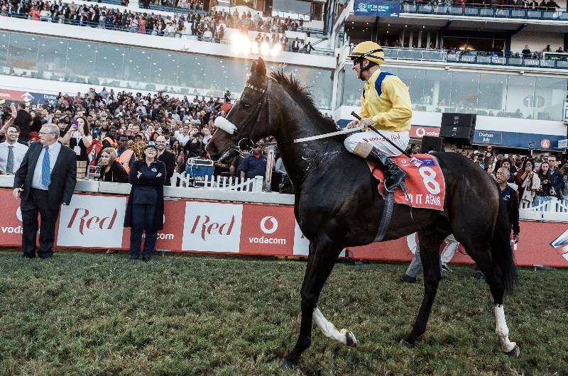 greyville racecourse