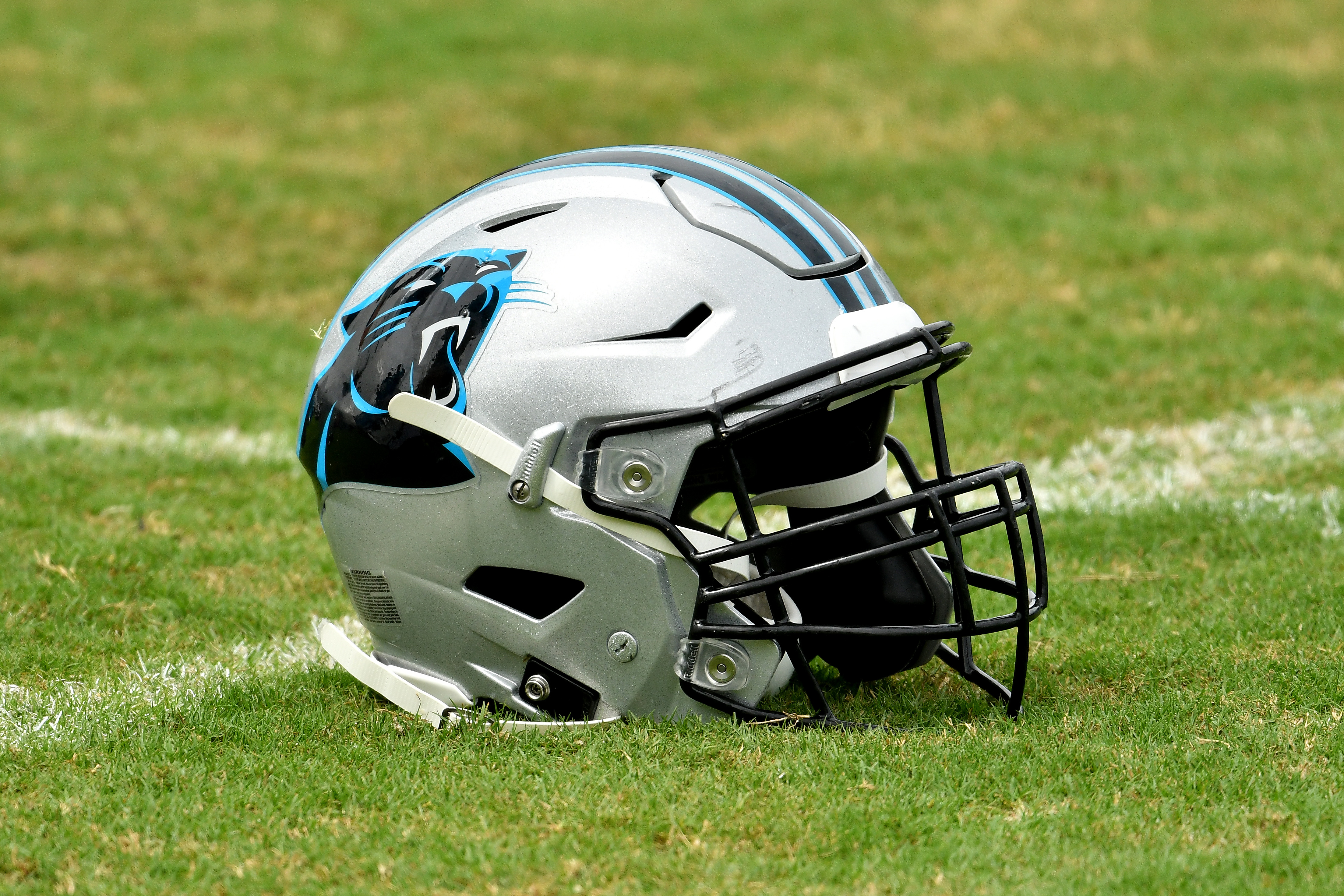 Panthers