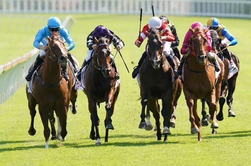 Nowra Racing Tips for 17.01.2020