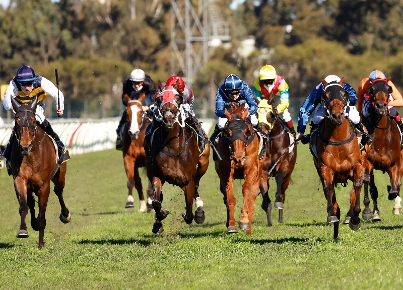 Rosehill Tips for 25.09.2021