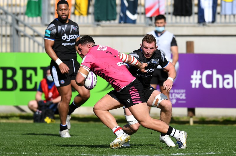 zebre rugby