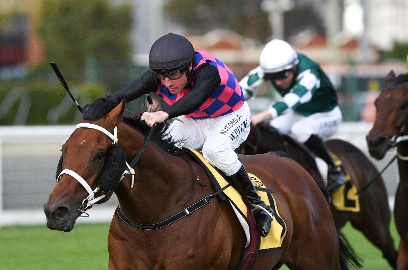 Belmont Tips for 25.09.2021
