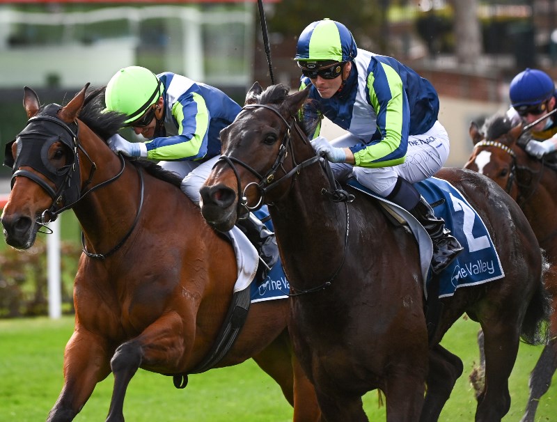 Big Bets for 25.09.2021