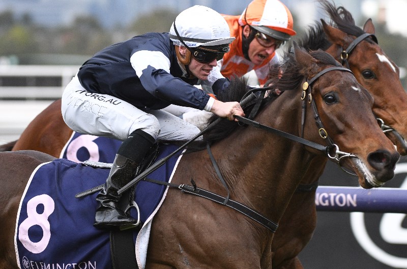 Mornington Betting Tips