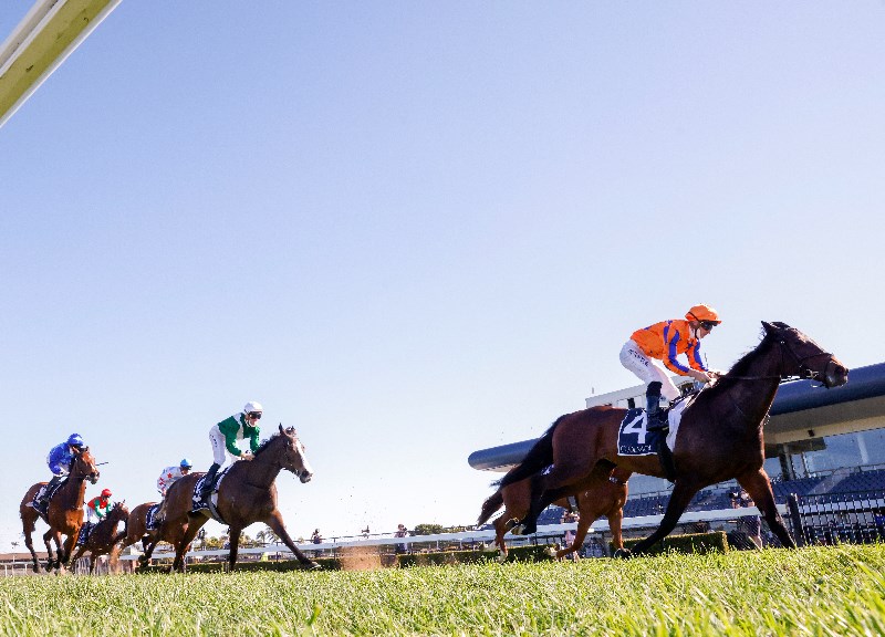 Rosehill Highlights