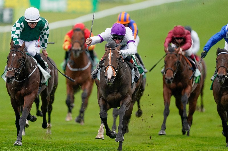 middle park stakes