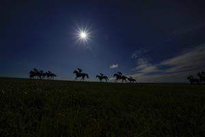 NEWMARKET, ENGLAND - SEPTEMBER 24: A general view as runners ease down after finishing The Unibet 3 Uniboosts A Day EBF Rosemary Stakes at Newmarket Racecourse on September 24, 2021 in Newmarket, England. (Photo by Alan Crowhurst/Getty Images)