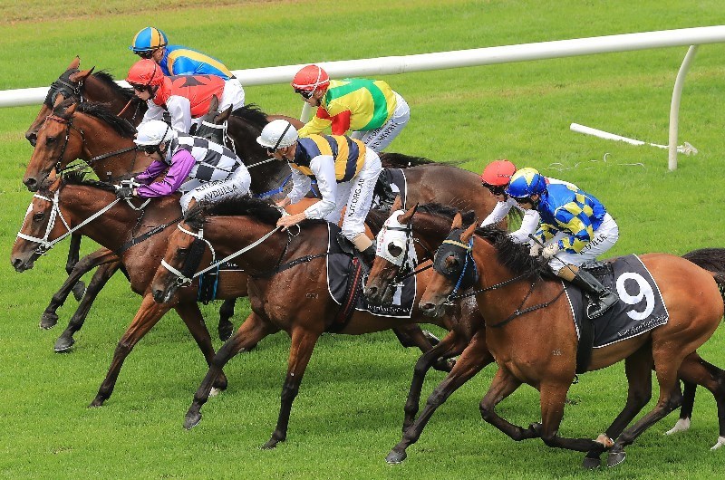Grafton Racing Tips for 03.03.2020