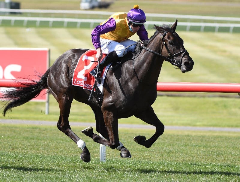 Golden Rose Stakes Betting Tips 22 Odds Field Barrier Draw Golden Rose Stakes Betting Tips 22 Odds Field Barrier Draw