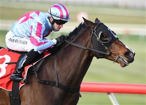 MELBOURNE, AUSTRALIA - SEPTEMBER 25: Josh Richards riding Thought Of That winning Race 9, the Evergreen Turf Handicap, during Melbourne Racing at Sandown Racecourse on September 25, 2021 in Melbourne, Australia. (Photo by Vince Caligiuri/Getty Images)