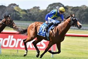 MELBOURNE, AUSTRALIA - SEPTEMBER 25: Damien Thornton riding Extreme Flight winning Race 3, the Tile Importer Handicap, during Melbourne Racing at Sandown Racecourse on September 25, 2021 in Melbourne, Australia. (Photo by Vince Caligiuri/Getty Images)
