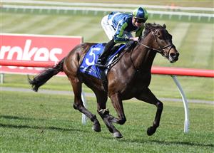 MELBOURNE, AUSTRALIA - SEPTEMBER 25: Teodore Nugent riding Floating Artist winning race 6, the The Big Screen Company Handicap, during Melbourne Racing at Sandown Racecourse on September 25, 2021 in Melbourne, Australia. (Photo by Vince Caligiuri/Getty Images)
