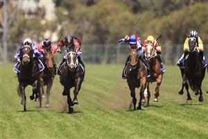 SYDNEY, AUSTRALIA - SEPTEMBER 25: Jason Collett on Yiyi wins race 1 the Precise Air Handicap during Sydney Racing on Golden Rose Day at Rosehill Gardens on September 25, 2021 in Sydney, Australia. (Photo by Mark Evans/Getty Images)
