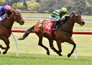 MELBOURNE, AUSTRALIA - SEPTEMBER 25: Josh Richards riding Esta La Roca winning Race 1, the Tobin Brothers Celebrating Lives, during Melbourne Racing at Sandown Racecourse on September 25, 2021 in Melbourne, Australia. (Photo by Vince Caligiuri/Getty Images)