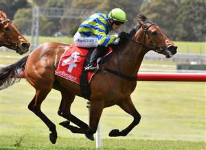 MELBOURNE, AUSTRALIA - SEPTEMBER 25: Josh Richards riding Esta La Roca winning Race 1, the Tobin Brothers Celebrating Lives, during Melbourne Racing at Sandown Racecourse on September 25, 2021 in Melbourne, Australia. (Photo by Vince Caligiuri/Getty Images)