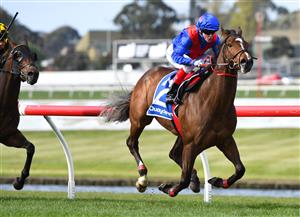 MELBOURNE, AUSTRALIA - SEPTEMBER 25: Craig Williams riding Zaaki winning Race 7, the Quayclean Underwood Stakes, during Melbourne Racing at Sandown Racecourse on September 25, 2021 in Melbourne, Australia. (Photo by Vince Caligiuri/Getty Images)