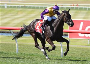 MELBOURNE, AUSTRALIA - SEPTEMBER 25: Damian Lane riding Elephant winning race 5, the Ladbrokes Sandown Stakes, during Melbourne Racing at Sandown Racecourse on September 25, 2021 in Melbourne, Australia. (Photo by Vince Caligiuri/Getty Images)