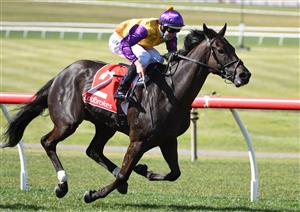 MELBOURNE, AUSTRALIA - SEPTEMBER 25: Damian Lane riding Elephant winning race 5, the Ladbrokes Sandown Stakes, during Melbourne Racing at Sandown Racecourse on September 25, 2021 in Melbourne, Australia. (Photo by Vince Caligiuri/Getty Images)