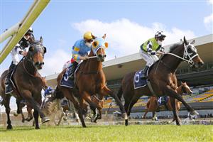 SYDNEY, AUSTRALIA - SEPTEMBER 25: Glyn Schofield on Yonkers (R), wins race 6 the Ned Whisky Shannon Stakes during Sydney Racing on Golden Rose Day at Rosehill Gardens on September 25, 2021 in Sydney, Australia. (Photo by Mark Evans/Getty Images)