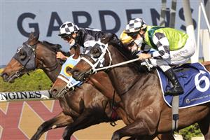 SYDNEY, AUSTRALIA - SEPTEMBER 25: Glyn Schofield on Yonkers (green), wins race 6 the Ned Whisky Shannon Stakes during Sydney Racing on Golden Rose Day at Rosehill Gardens on September 25, 2021 in Sydney, Australia. (Photo by Mark Evans/Getty Images)