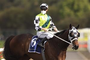 SYDNEY, AUSTRALIA - SEPTEMBER 25: Glyn Schofield on Yonkers returns to scale after winning race 6 the Ned Whisky Shannon Stakes during Sydney Racing on Golden Rose Day at Rosehill Gardens on September 25, 2021 in Sydney, Australia. (Photo by Mark Evans/Getty Images)
