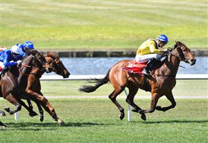 MELBOURNE, AUSTRALIA - SEPTEMBER 25: Jordan Childs riding Queen Of Dubai winning Race 4, the Jim Moloney Stakes, during Melbourne Racing at Sandown Racecourse on September 25, 2021 in Melbourne, Australia. (Photo by Vince Caligiuri/Getty Images)