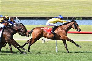 MELBOURNE, AUSTRALIA - SEPTEMBER 25: Jordan Childs riding Queen Of Dubai winning Race 4, the Jim Moloney Stakes, during Melbourne Racing at Sandown Racecourse on September 25, 2021 in Melbourne, Australia. (Photo by Vince Caligiuri/Getty Images)
