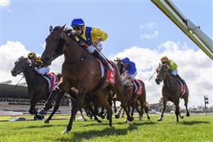 MELBOURNE, AUSTRALIA - SEPTEMBER 25: Jordan Childs riding Queen Of Dubai winning Race 4, the Jim Moloney Stakes, during Melbourne Racing at Sandown Racecourse on September 25, 2021 in Melbourne, Australia. (Photo by Vince Caligiuri/Getty Images)