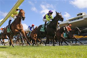 SYDNEY, AUSTRALIA - SEPTEMBER 25: Kerrin McEvoy on Barossa Rosa wins race 3 the Midway Handicap during Sydney Racing on Golden Rose Day at Rosehill Gardens on September 25, 2021 in Sydney, Australia. (Photo by Mark Evans/Getty Images)