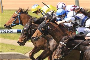 SYDNEY, AUSTRALIA - SEPTEMBER 25: Kerrin McEvoy on The Fossil (yellow), wins race 2 the TAB highway Class 2 Handicap during Sydney Racing on Golden Rose Day at Rosehill Gardens on September 25, 2021 in Sydney, Australia. (Photo by Mark Evans/Getty Images)