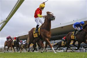 SYDNEY, AUSTRALIA - SEPTEMBER 25: Tim Clark on In The Congo wins race 8 the XXXX Golden Rose during Sydney Racing on Golden Rose Day at Rosehill Gardens on September 25, 2021 in Sydney, Australia. (Photo by Mark Evans/Getty Images)