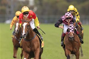 SYDNEY, AUSTRALIA - SEPTEMBER 25: Tim Clark on In The Congo wins race 8 the XXXX Golden Rose during Sydney Racing on Golden Rose Day at Rosehill Gardens on September 25, 2021 in Sydney, Australia. (Photo by Mark Evans/Getty Images)