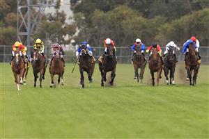 SYDNEY, AUSTRALIA - SEPTEMBER 25: Tim Clark on In The Congo (L), wins race 8 the XXXX Golden Rose during Sydney Racing on Golden Rose Day at Rosehill Gardens on September 25, 2021 in Sydney, Australia. (Photo by Mark Evans/Getty Images)