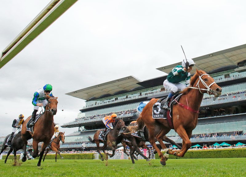 Epsom Handicap Field