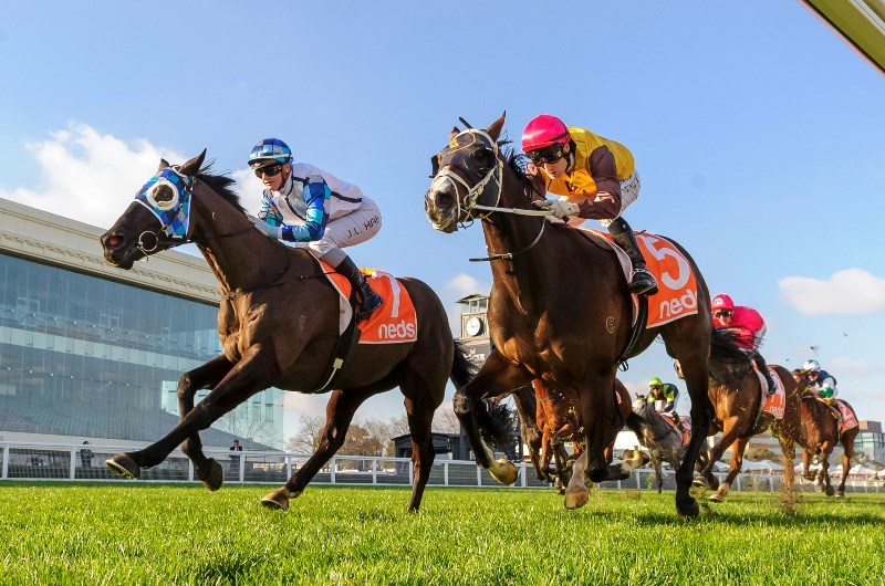 Geelong Betting Tips