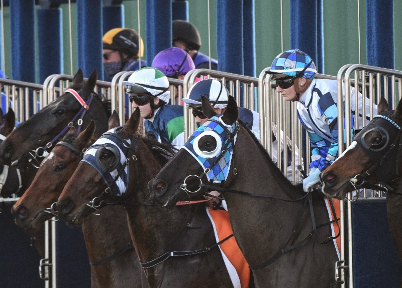 Geraldton Tips for 29.09.2021