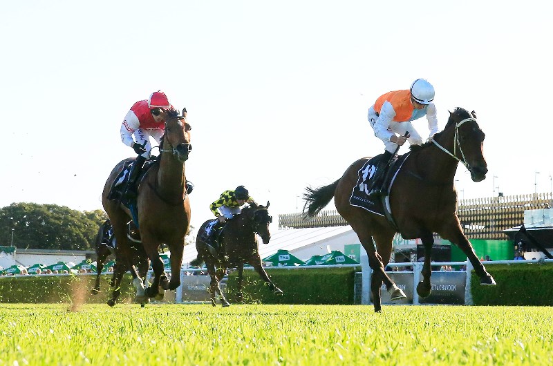 The Metropolitan Tips