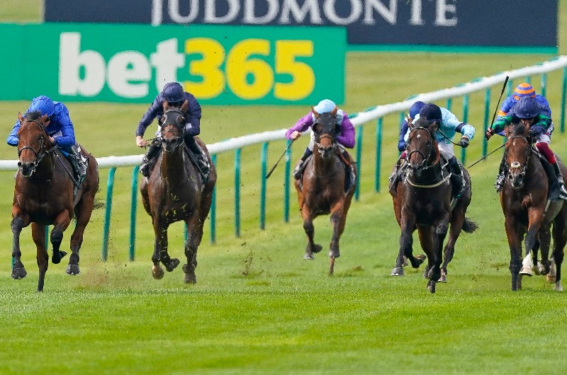 newmarket