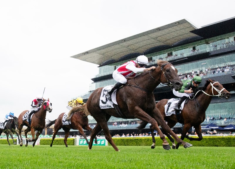 Flight Stakes Field