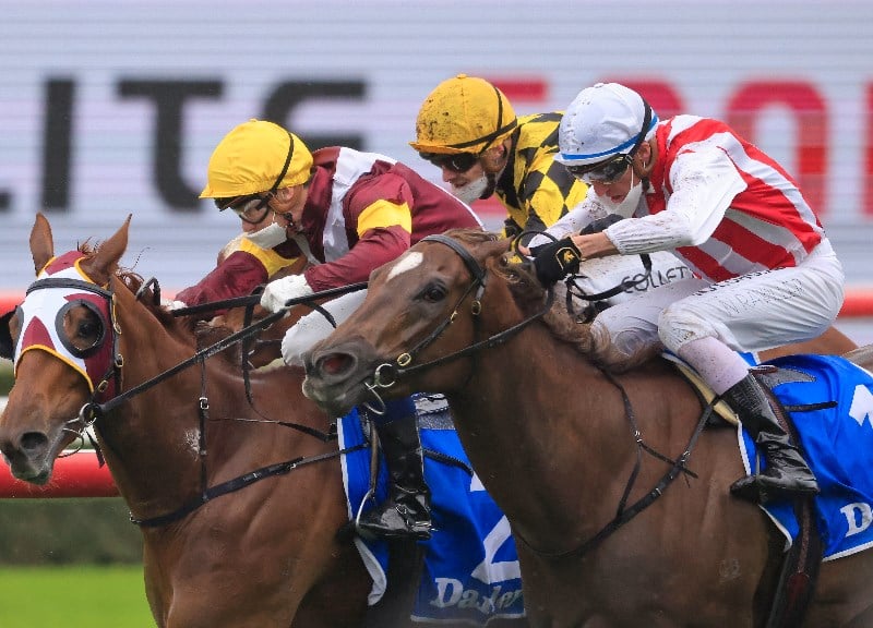 Flight Stakes tips