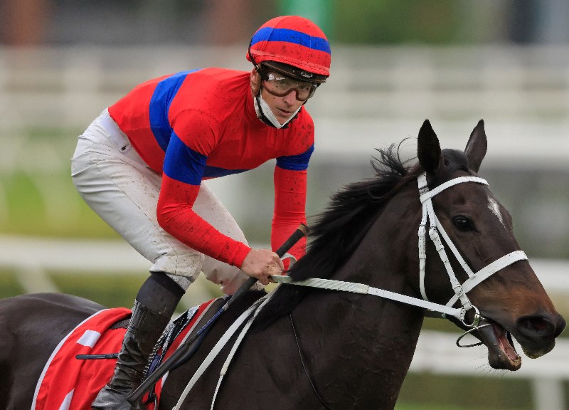 Turnbull Stakes Tips