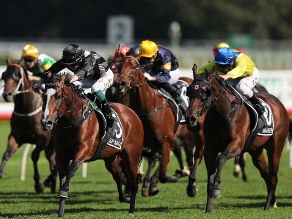 Dubbo racing tips for 03.05.2020