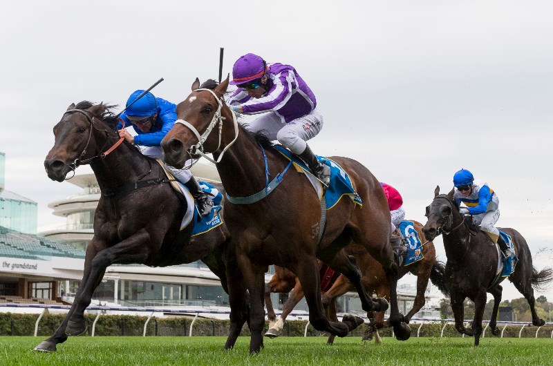 Flemington Betting Tips