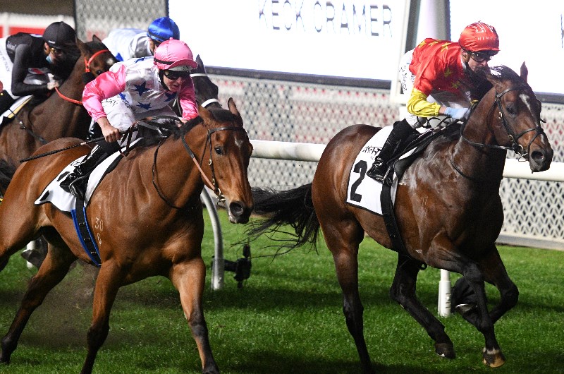 Moonee Valley Betting Tips