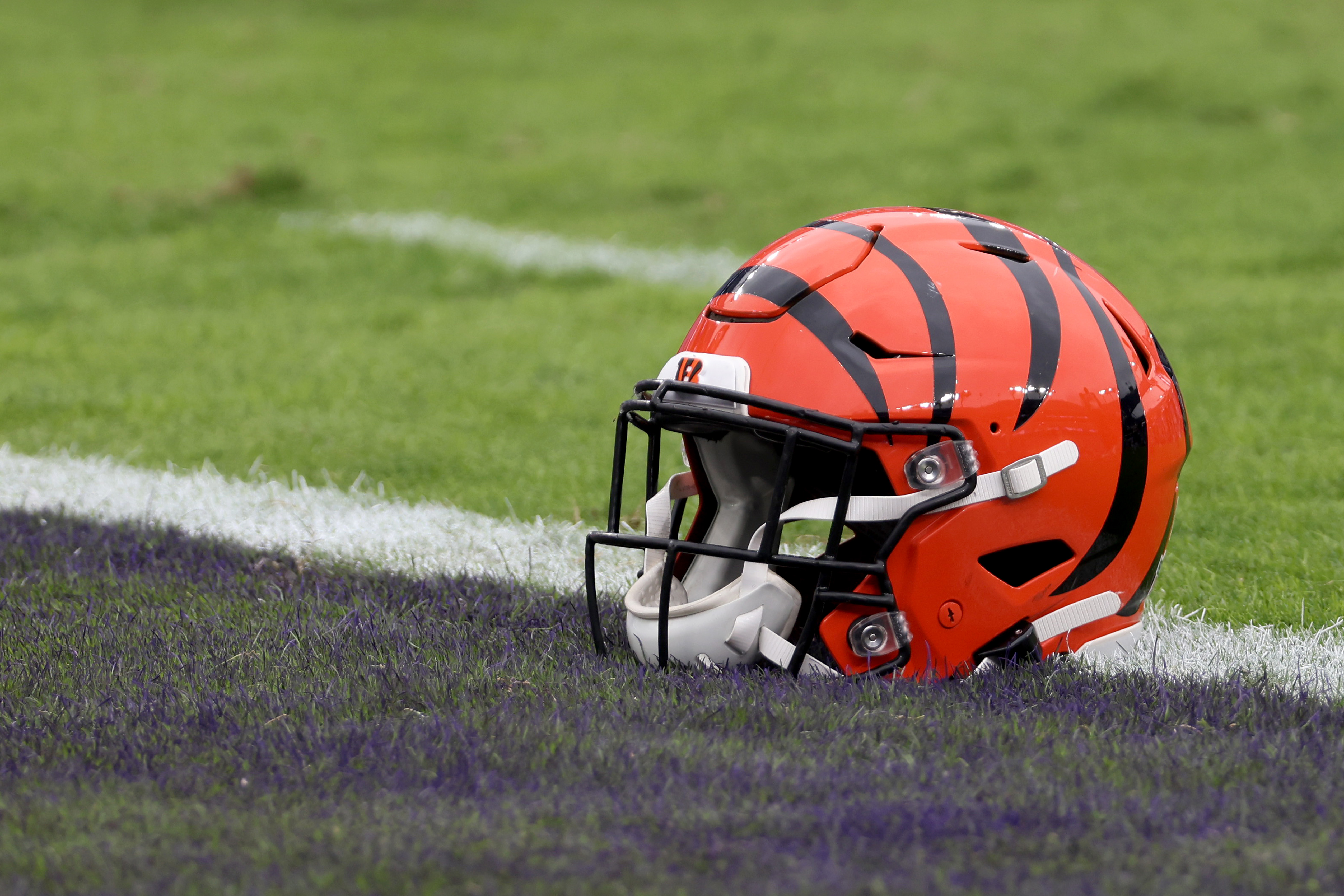 bengals