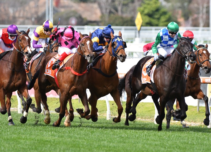 Kalgoorlie Tips for 02.10.2021