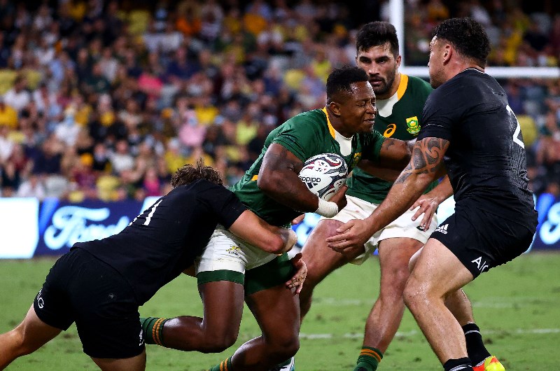 new zealand south africa rugby