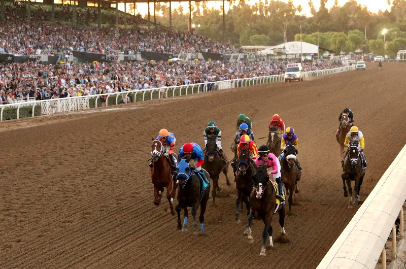santa anita races